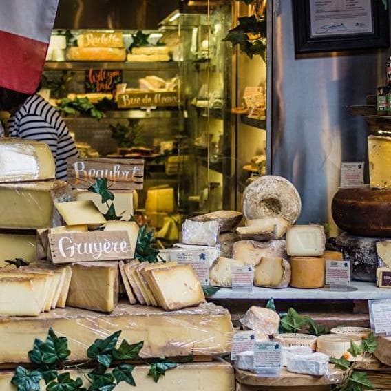 Cheeses of Deer