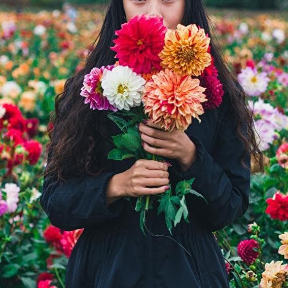 Fleurs en fête