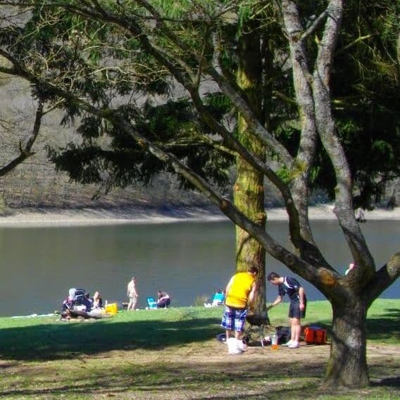 Park and picnic near the lake