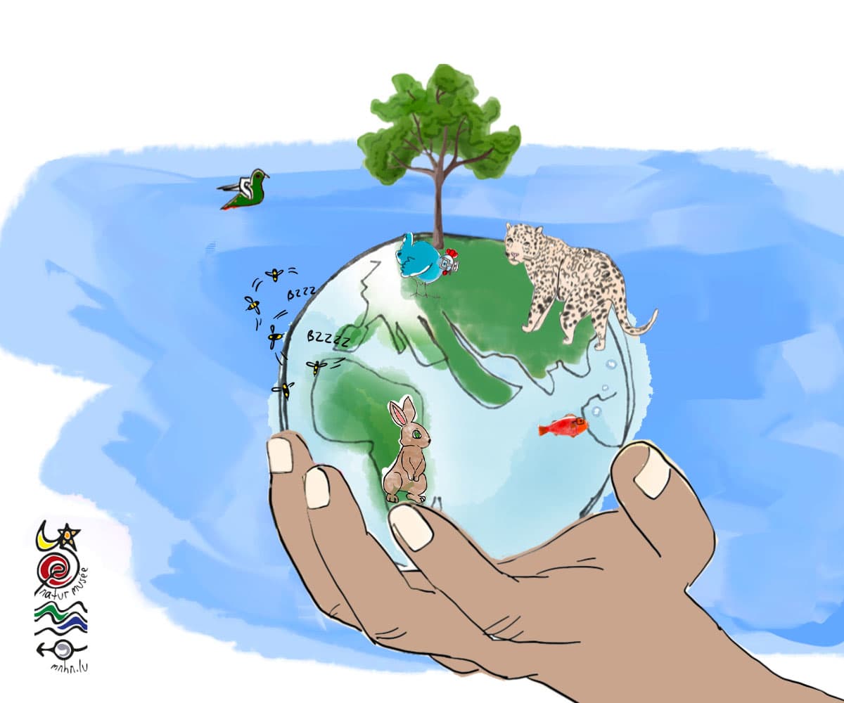 Let's reinvent our relationship with nature 🌿