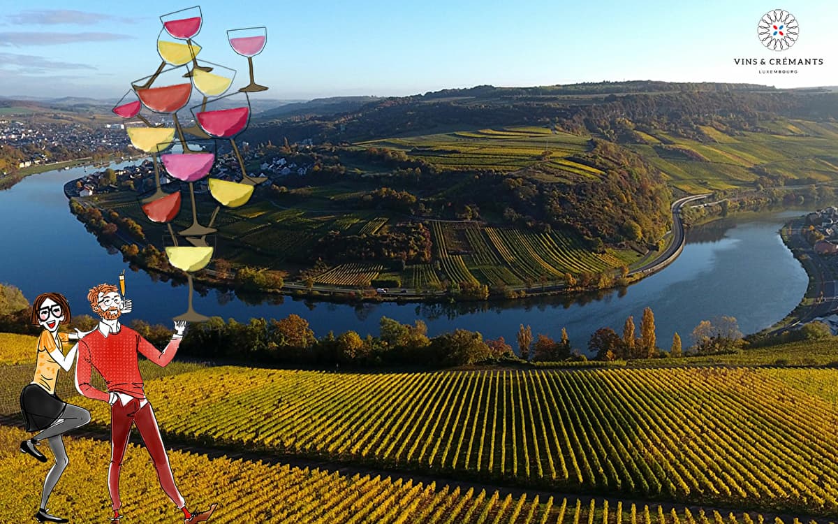 Wines & Crémants: a terroir to savor in 3 days!