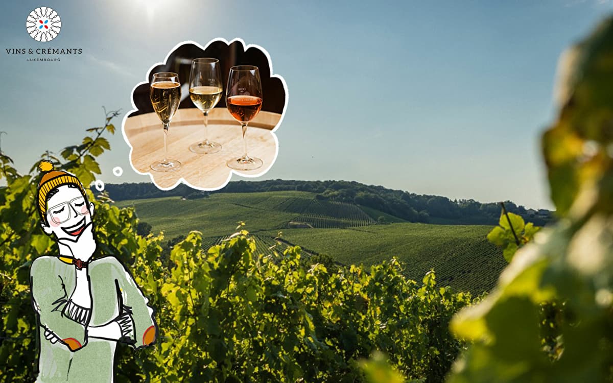 Wines & Crémants: let’s toast to this 20th edition