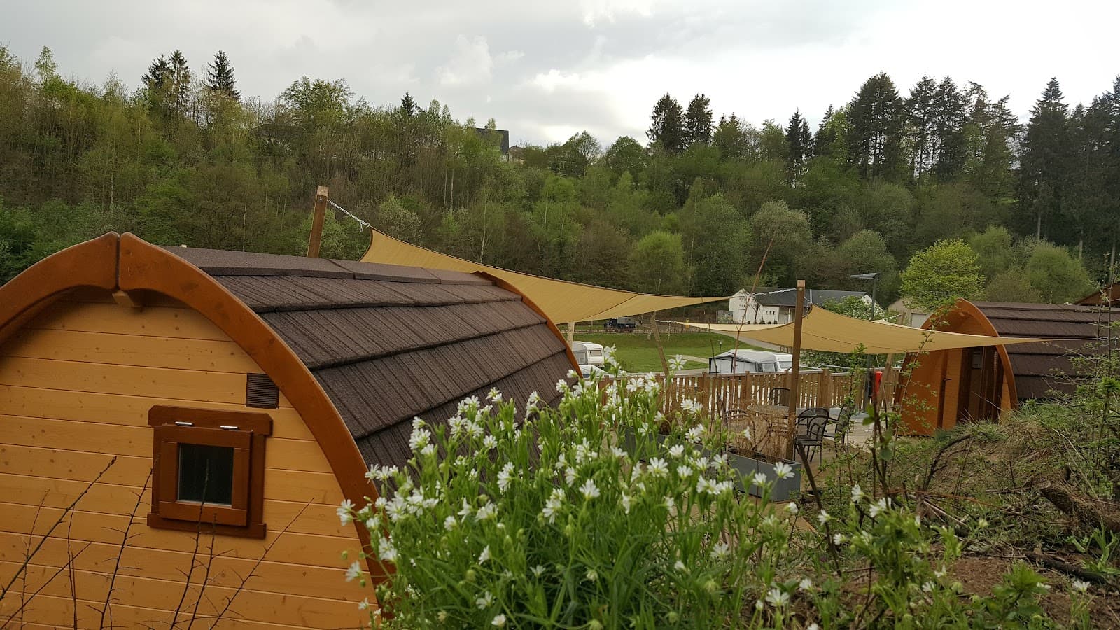 Kaul outdoor swimming pool surrounded by nature in Wiltz - 7