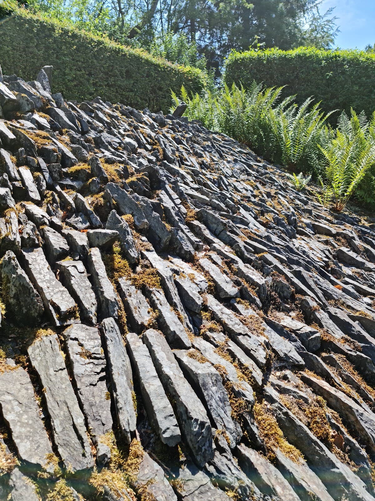 Parcours au Jardin - 11