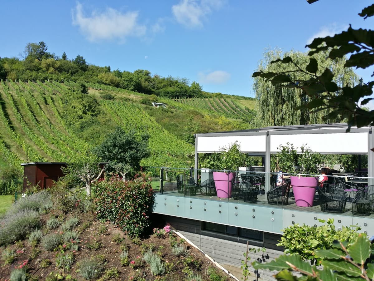Hôtel-Restaurant de l'Écluse: view over the vineyards and the Moselle - 11