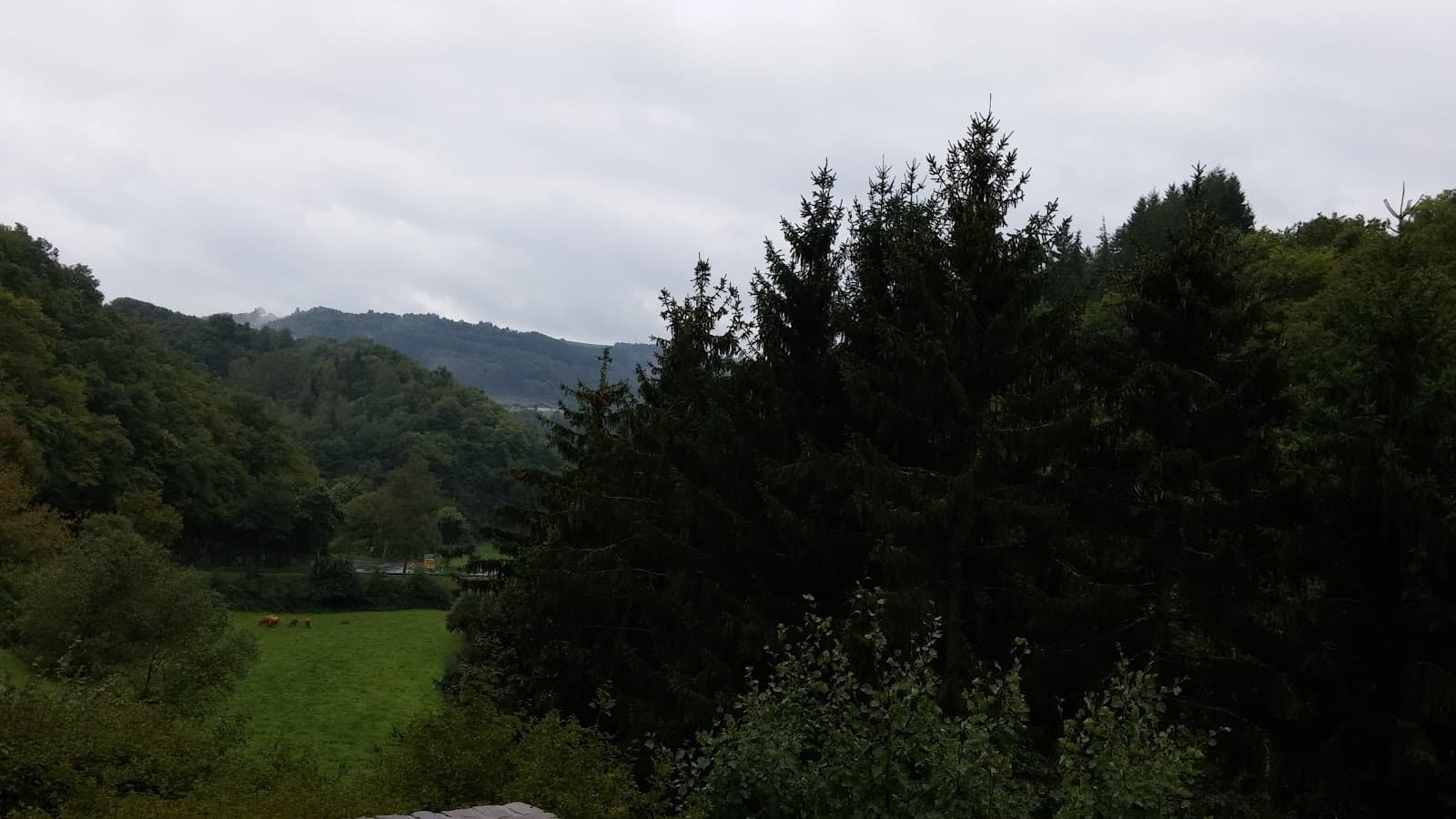 Un parcours nomade - 7