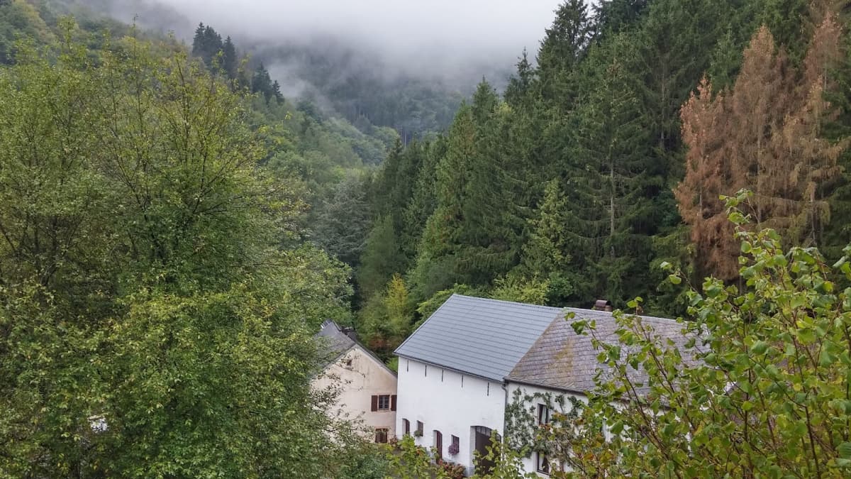 Un parcours nomade - 4