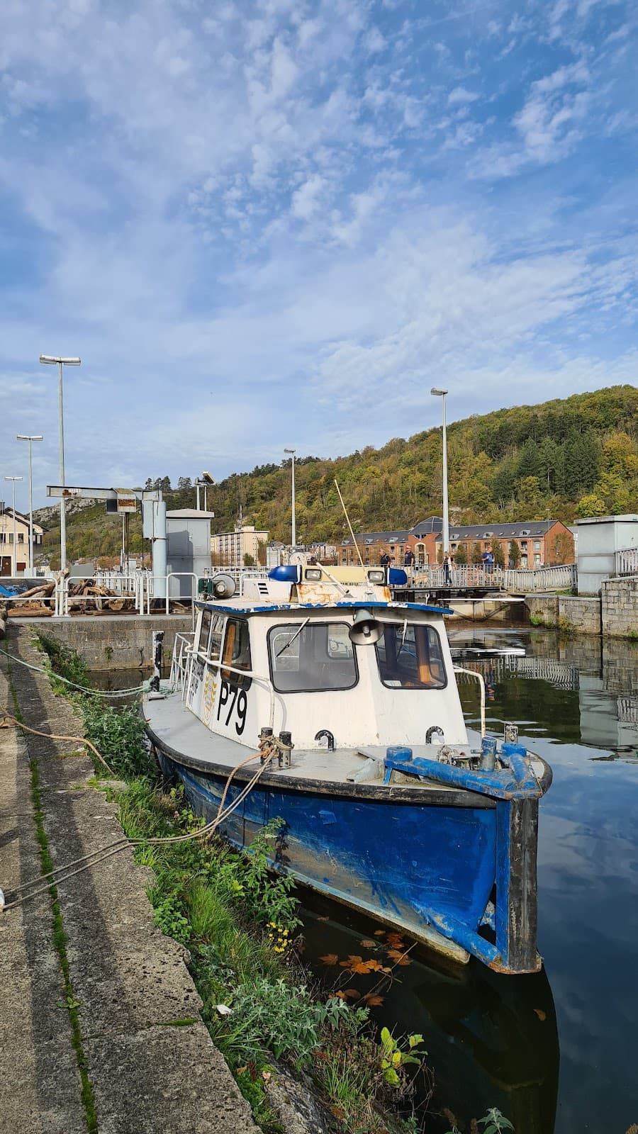 The Bird Bridge - 4