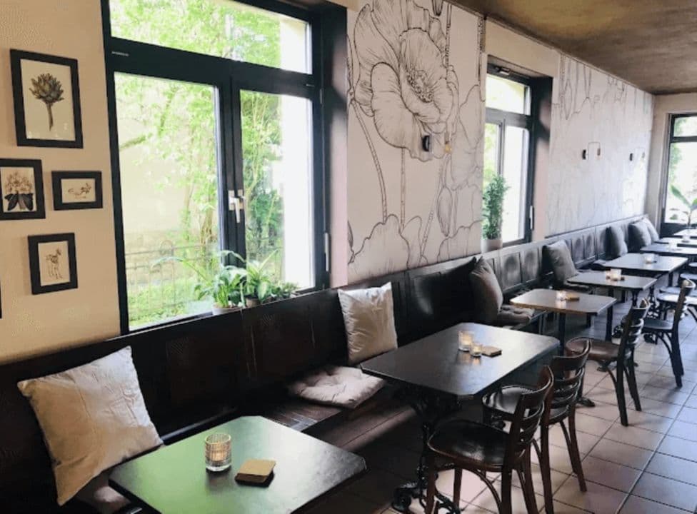 Jungle Cafe - 2