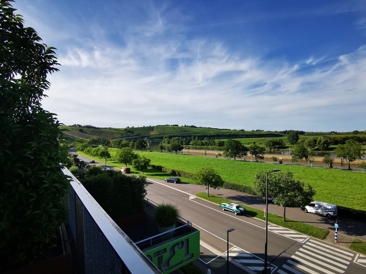 Hôtel-Restaurant de l'Écluse: view over the vineyards and the Moselle - 10