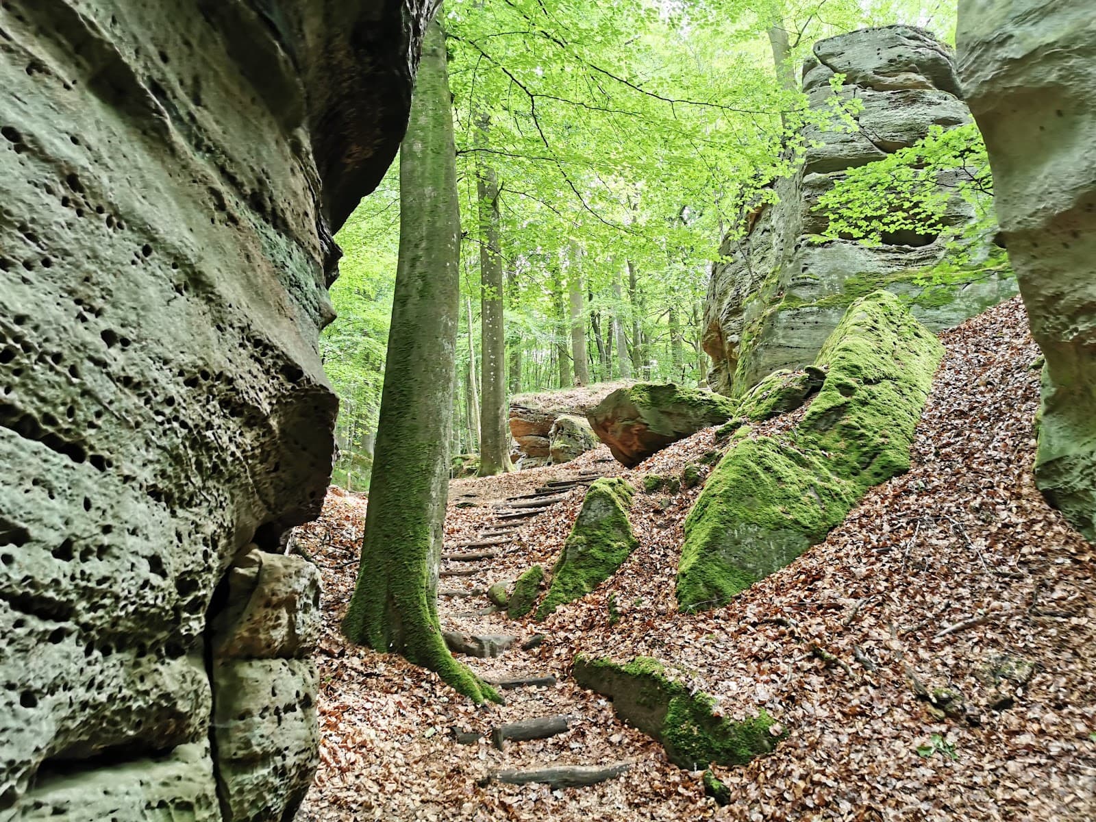 Medernach in Larochette: Between nature and castle - 3