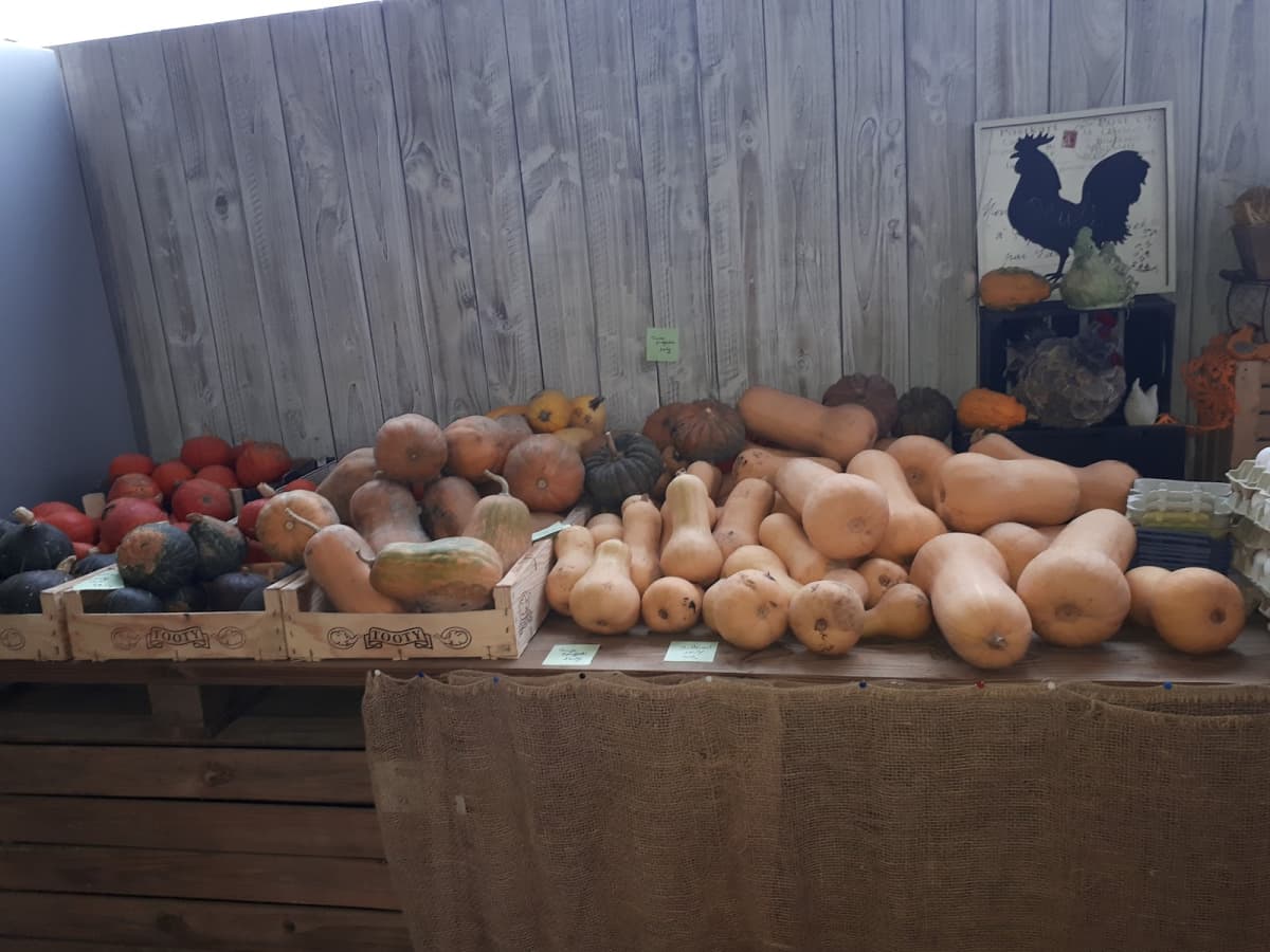 Silence it grows! Grocery store at BIO farm - 5