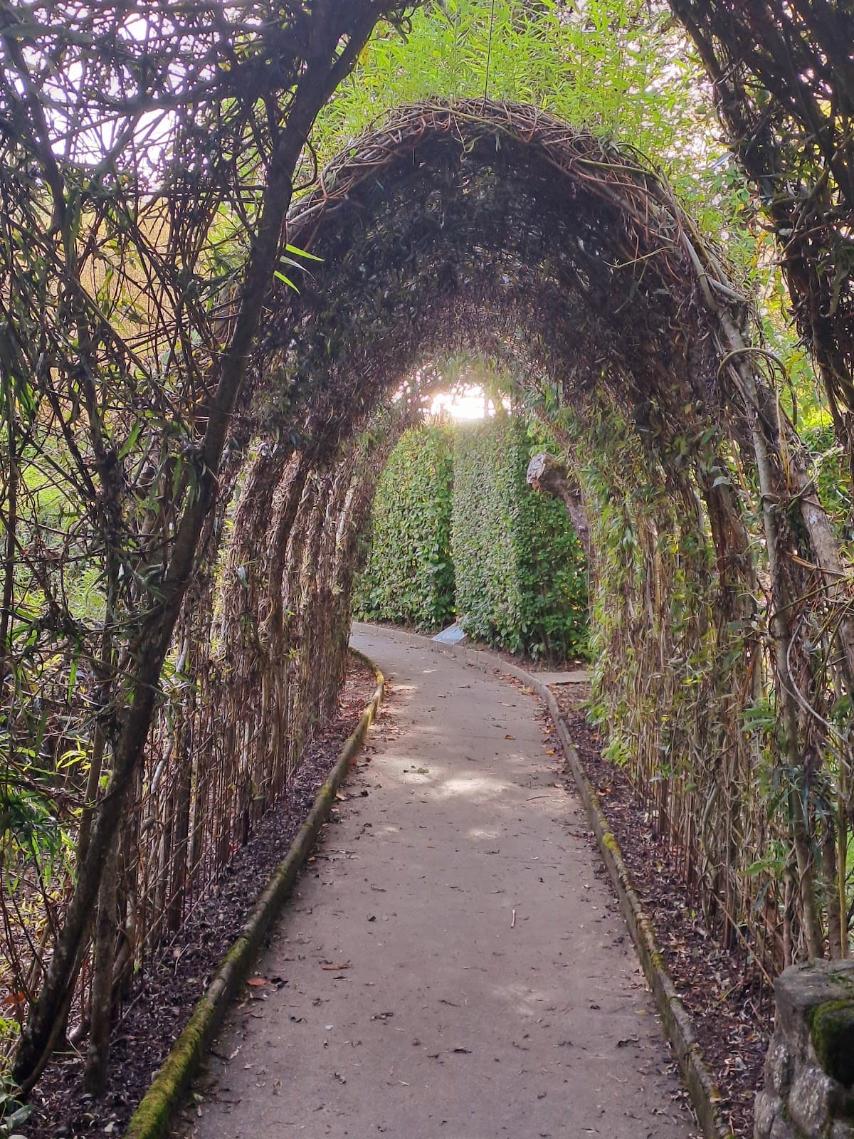 Parcours au Jardin - 3