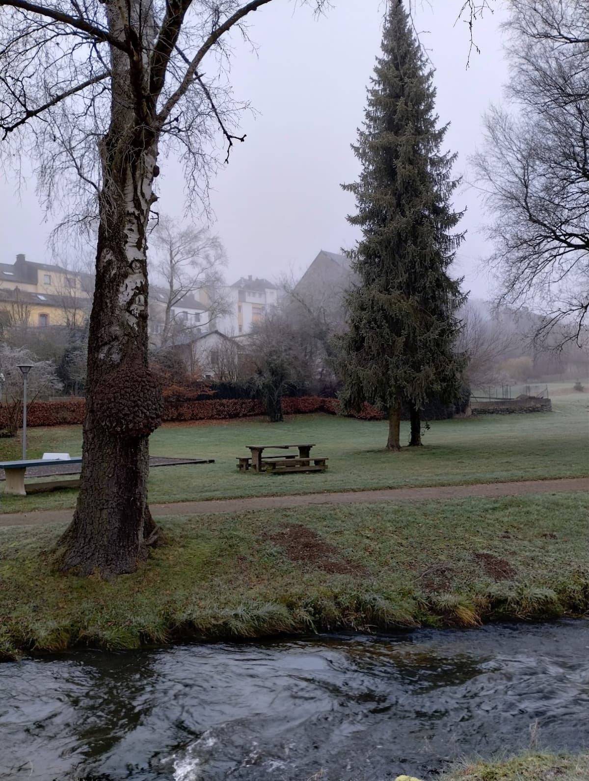 Heated outdoor swimming pool in Troisvierges - 8