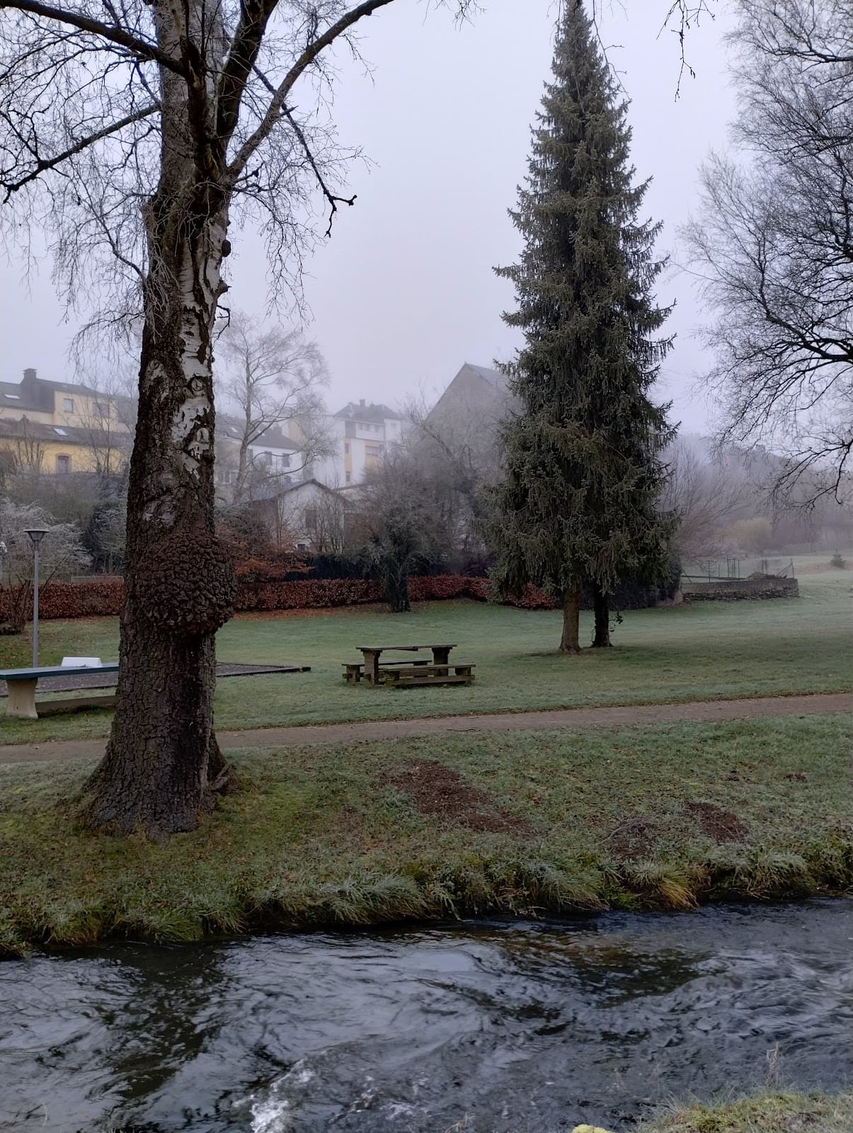Heated outdoor swimming pool in Troisvierges - 8