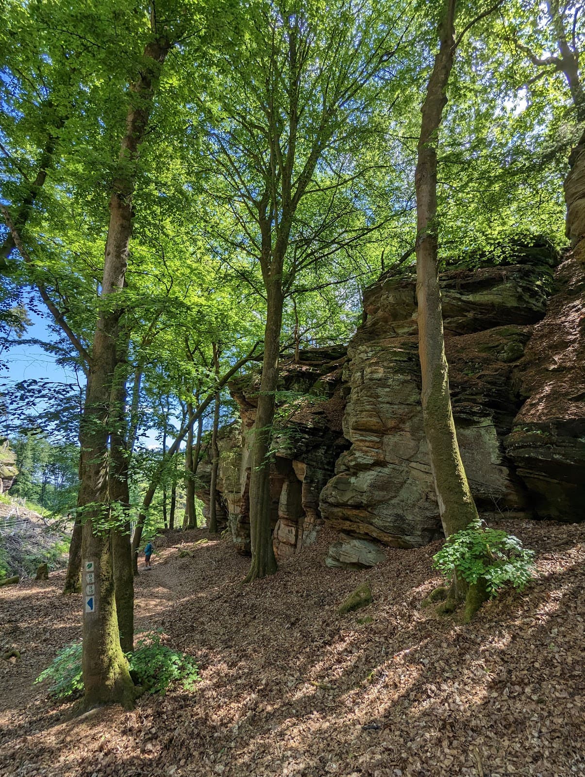 Medernach in Larochette: Between nature and castle - 5
