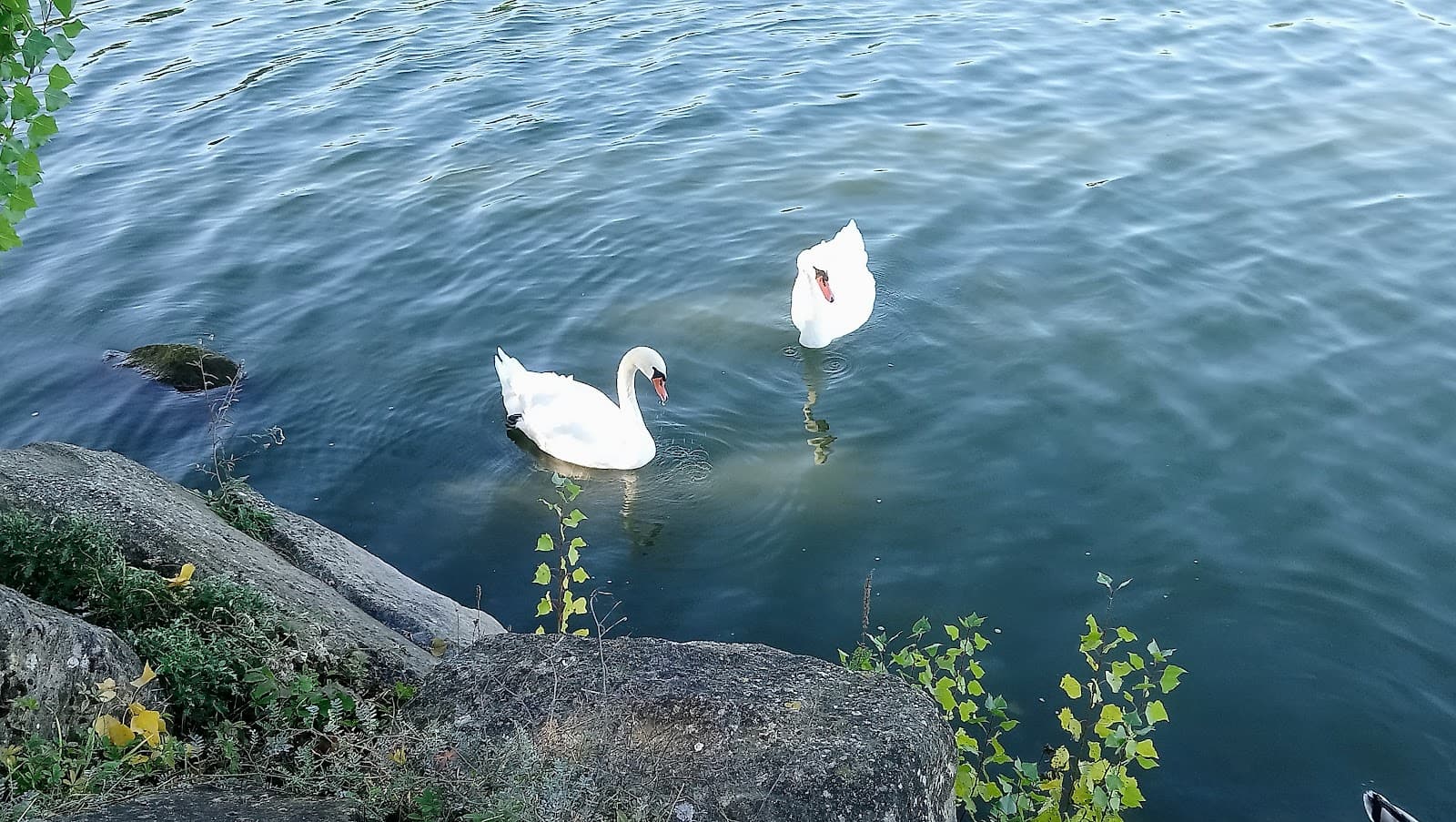 Une petite baignade ? - 8
