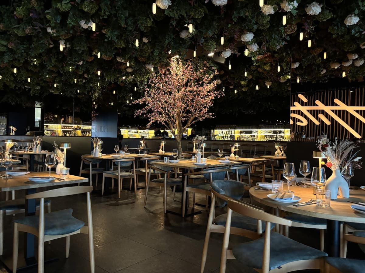 Where Food Meets Party - 5