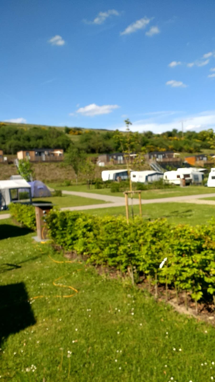 Kaul outdoor swimming pool surrounded by nature in Wiltz - 9