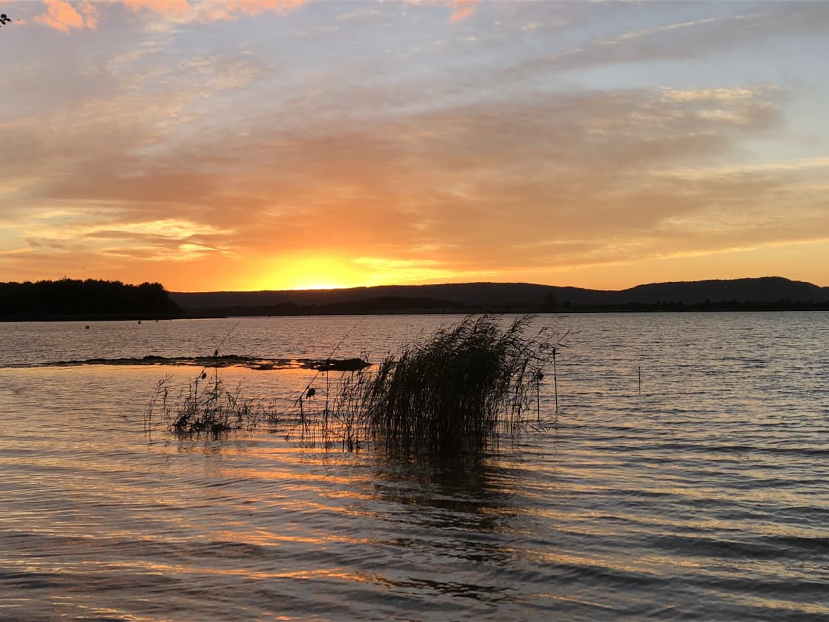 Swimming, fishing, paddle and cycling at Lake Madine - 9