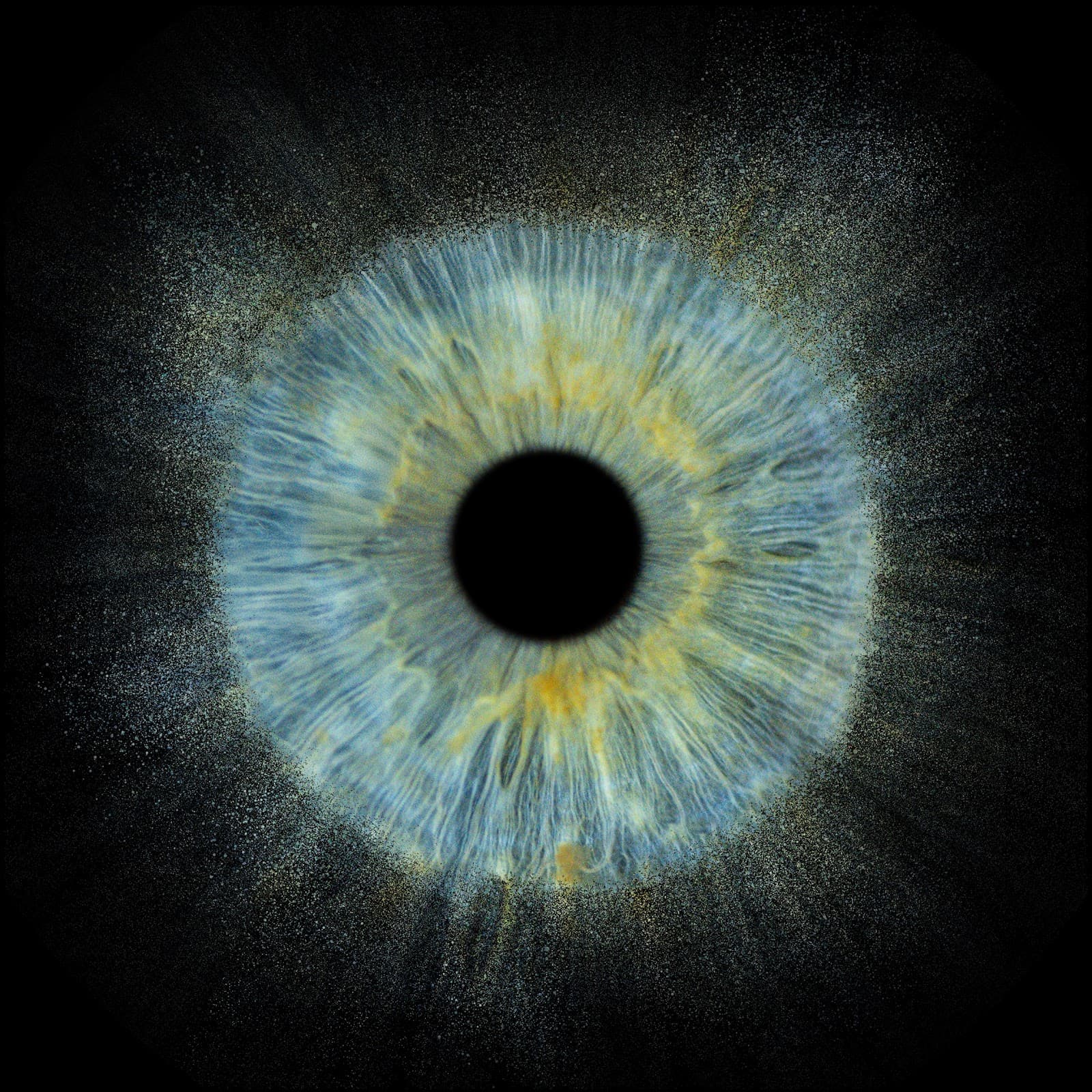 Yeux dans les yeux - 10