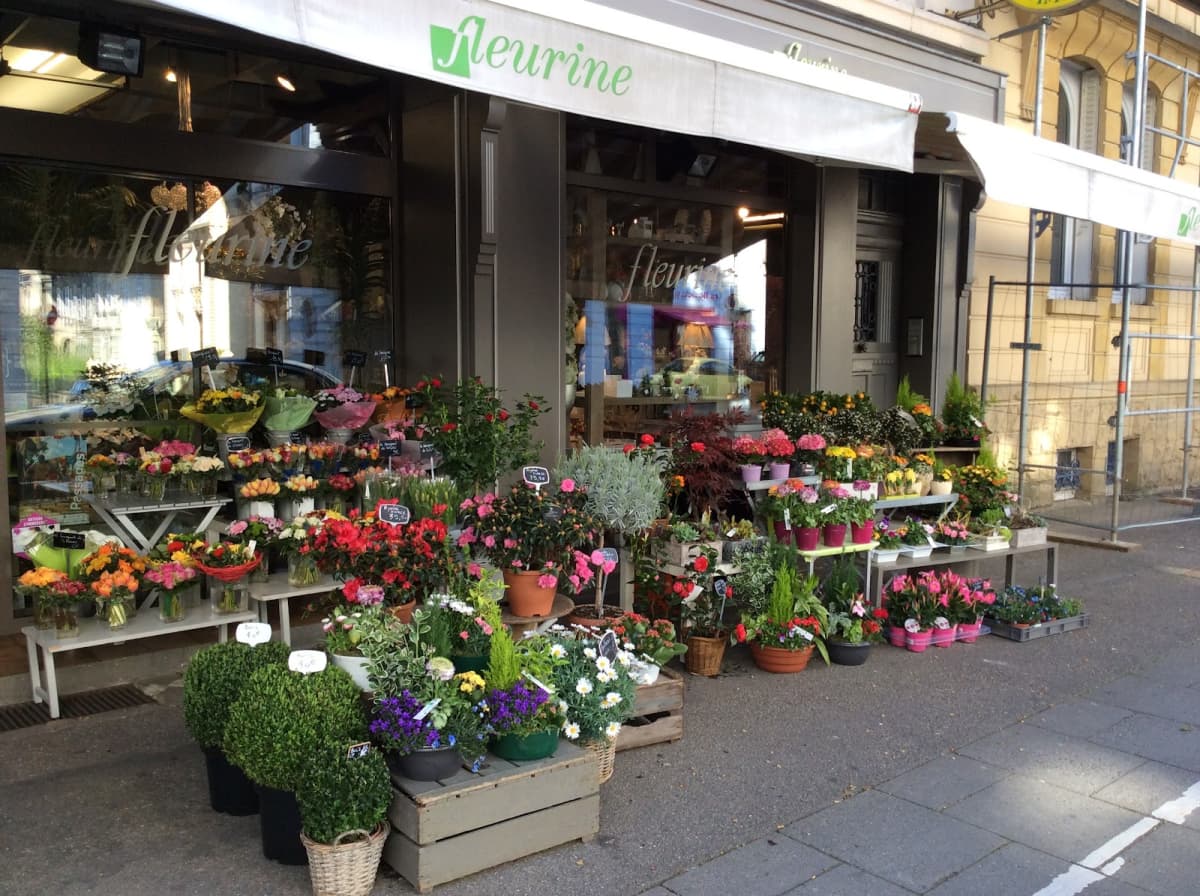 C'est le printemps ! - 2