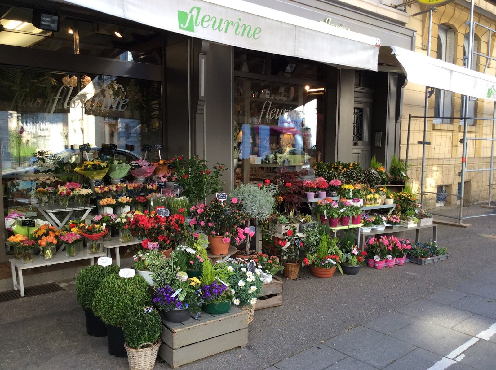 C'est le printemps ! - 2