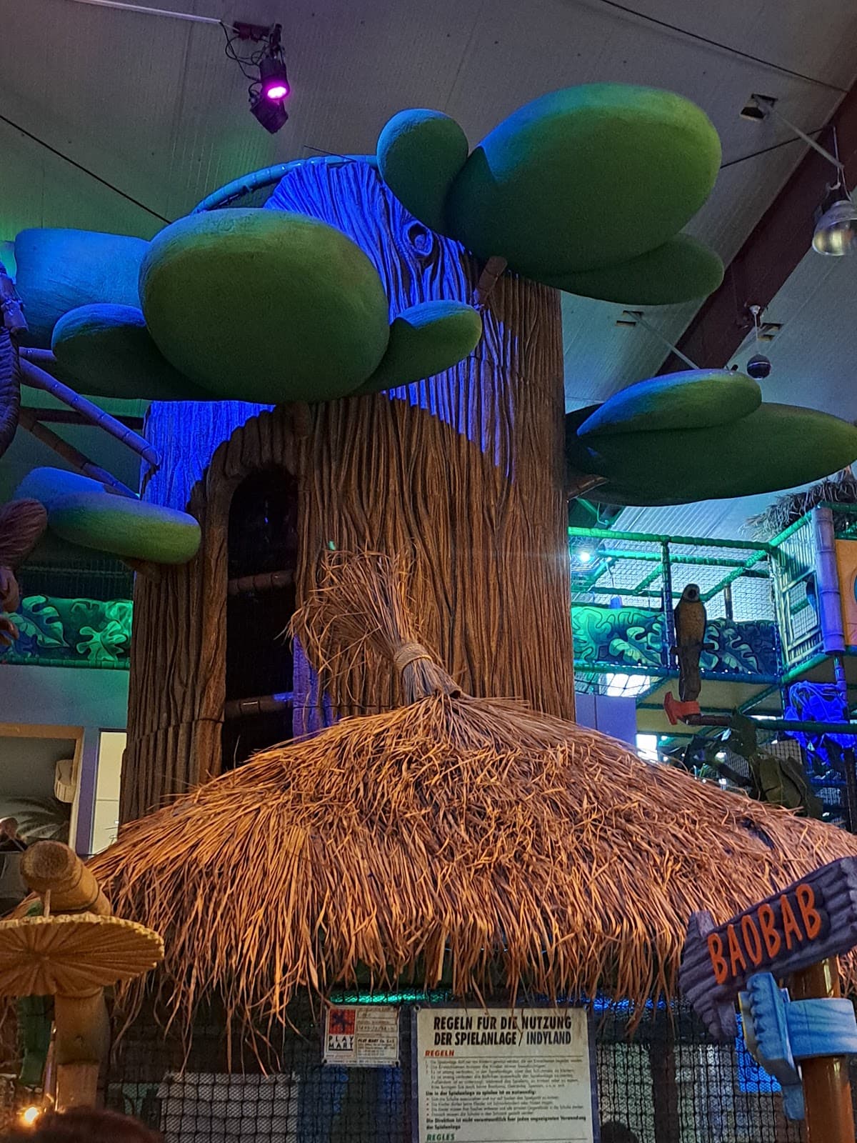 Venture into the jungle! - 6