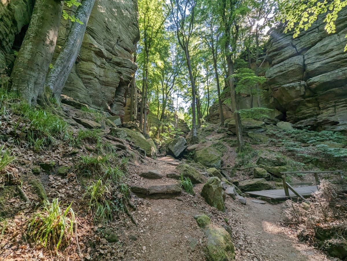 Medernach in Larochette: Between nature and castle - 8
