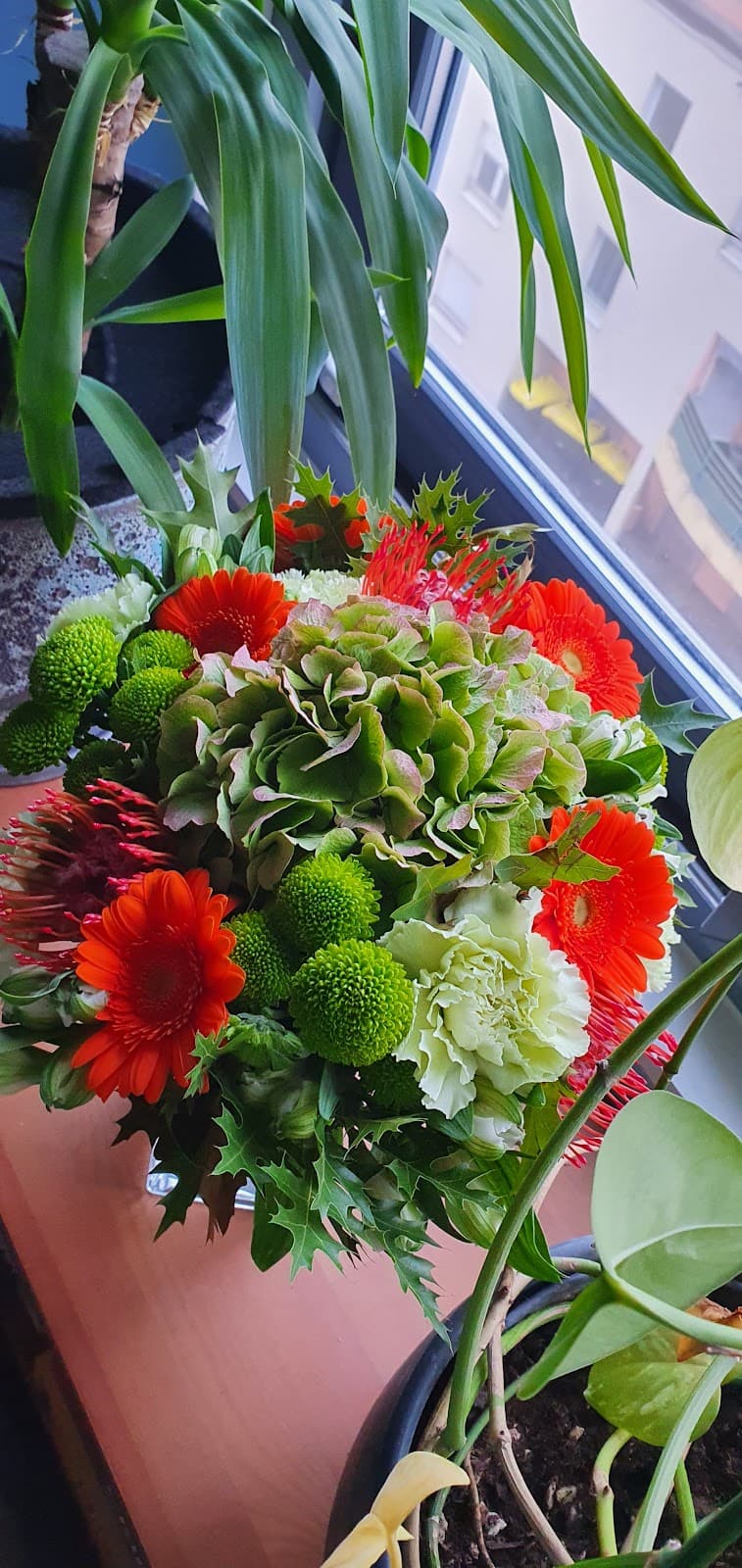 Abracadabra, only flowers for me - 10