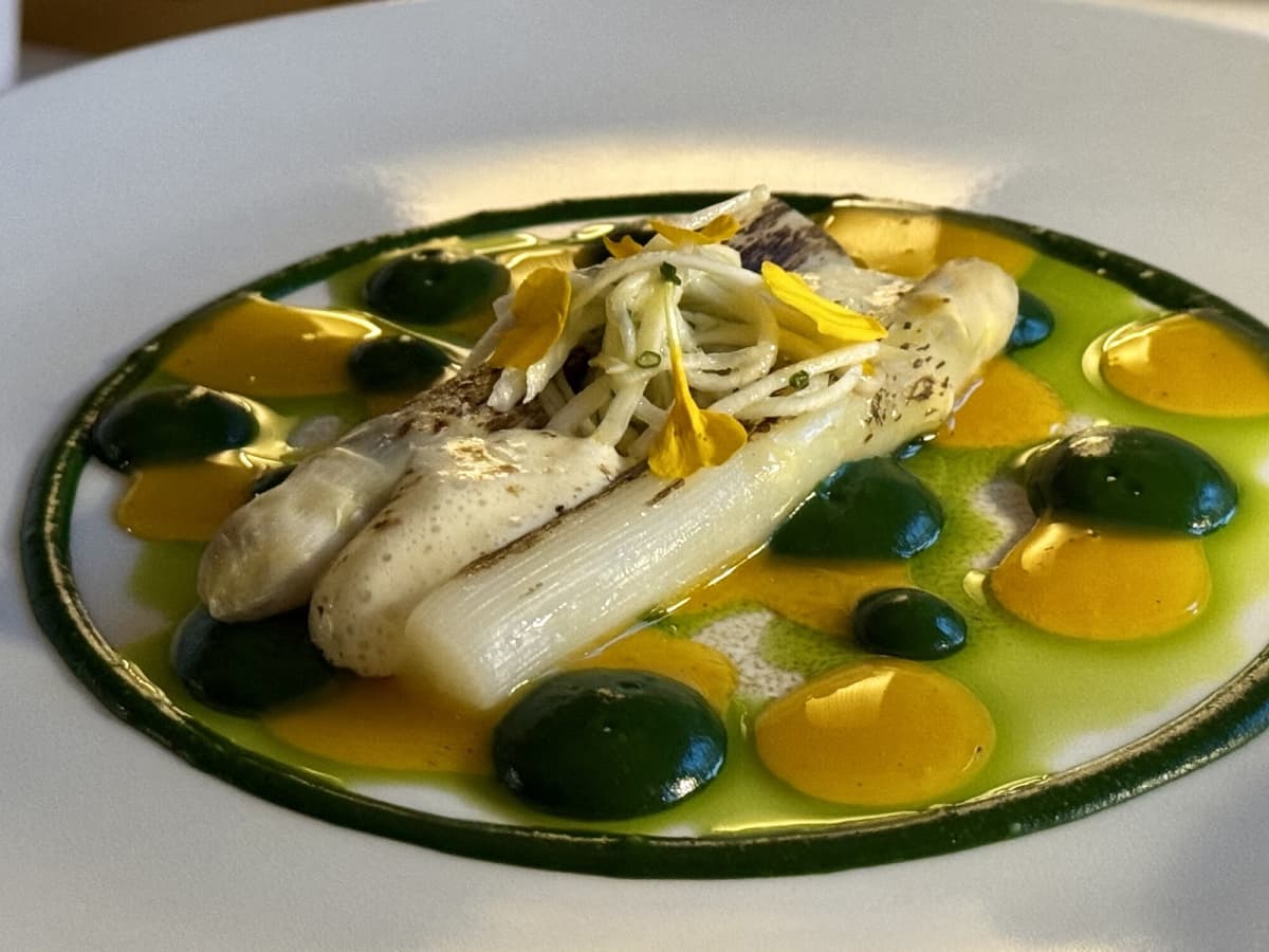 Super gastronomy - 10