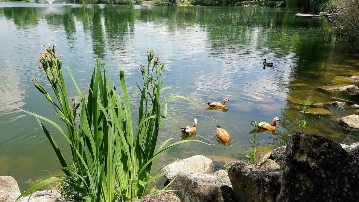 Une petite baignade ? - 9