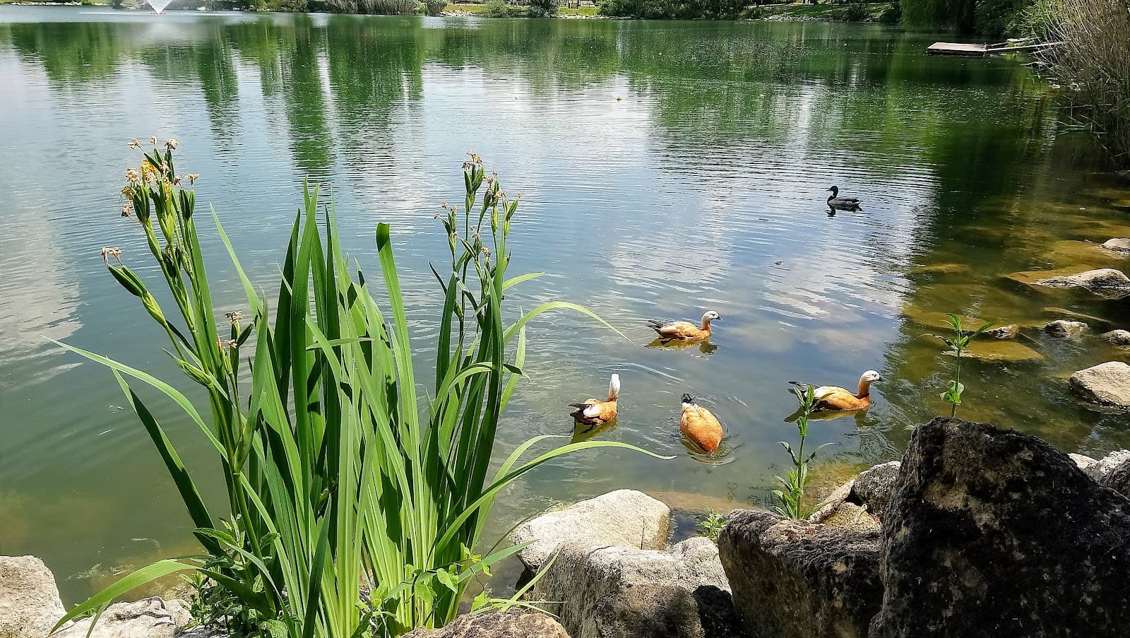Une petite baignade ? - 9