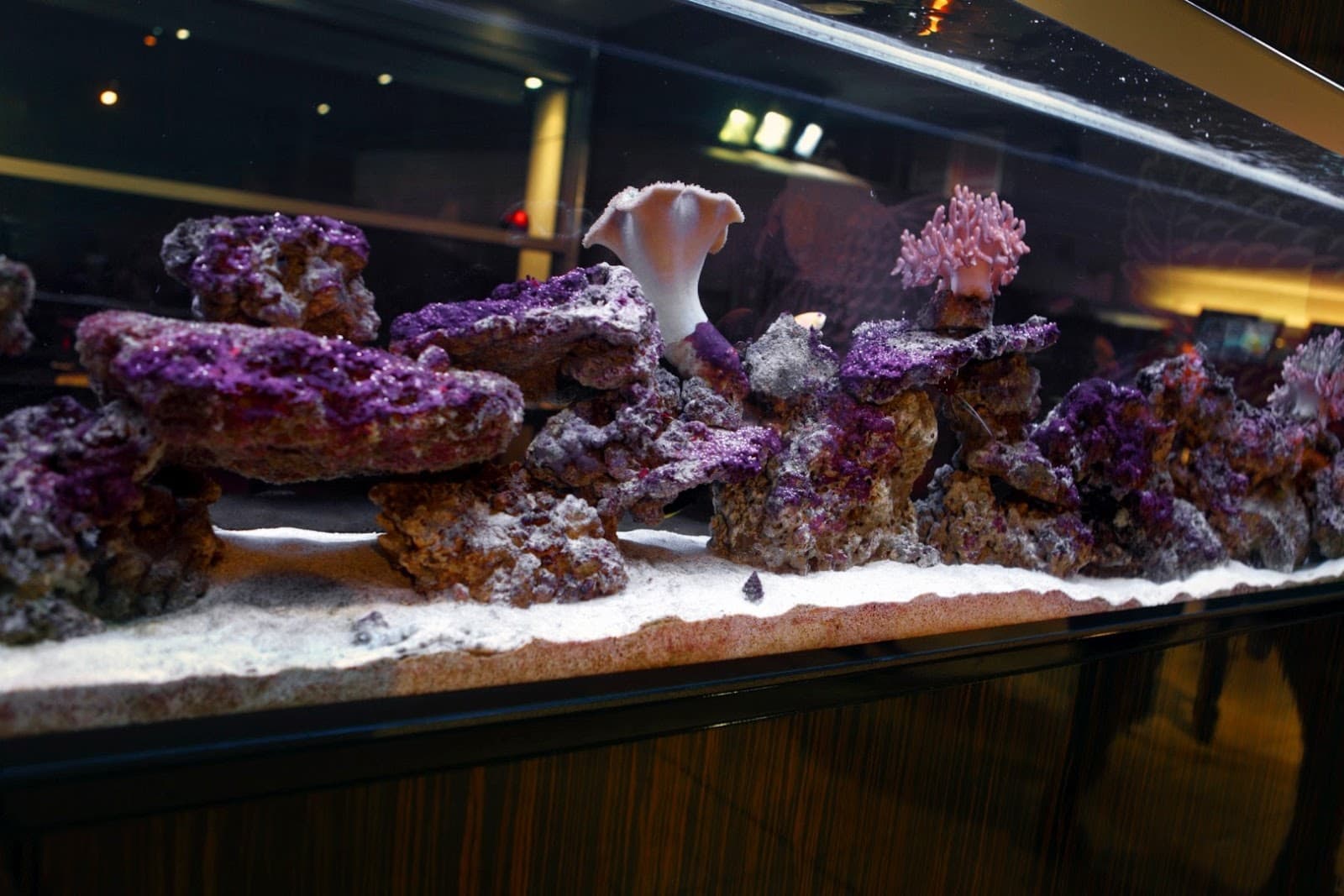 Under the sea - 3