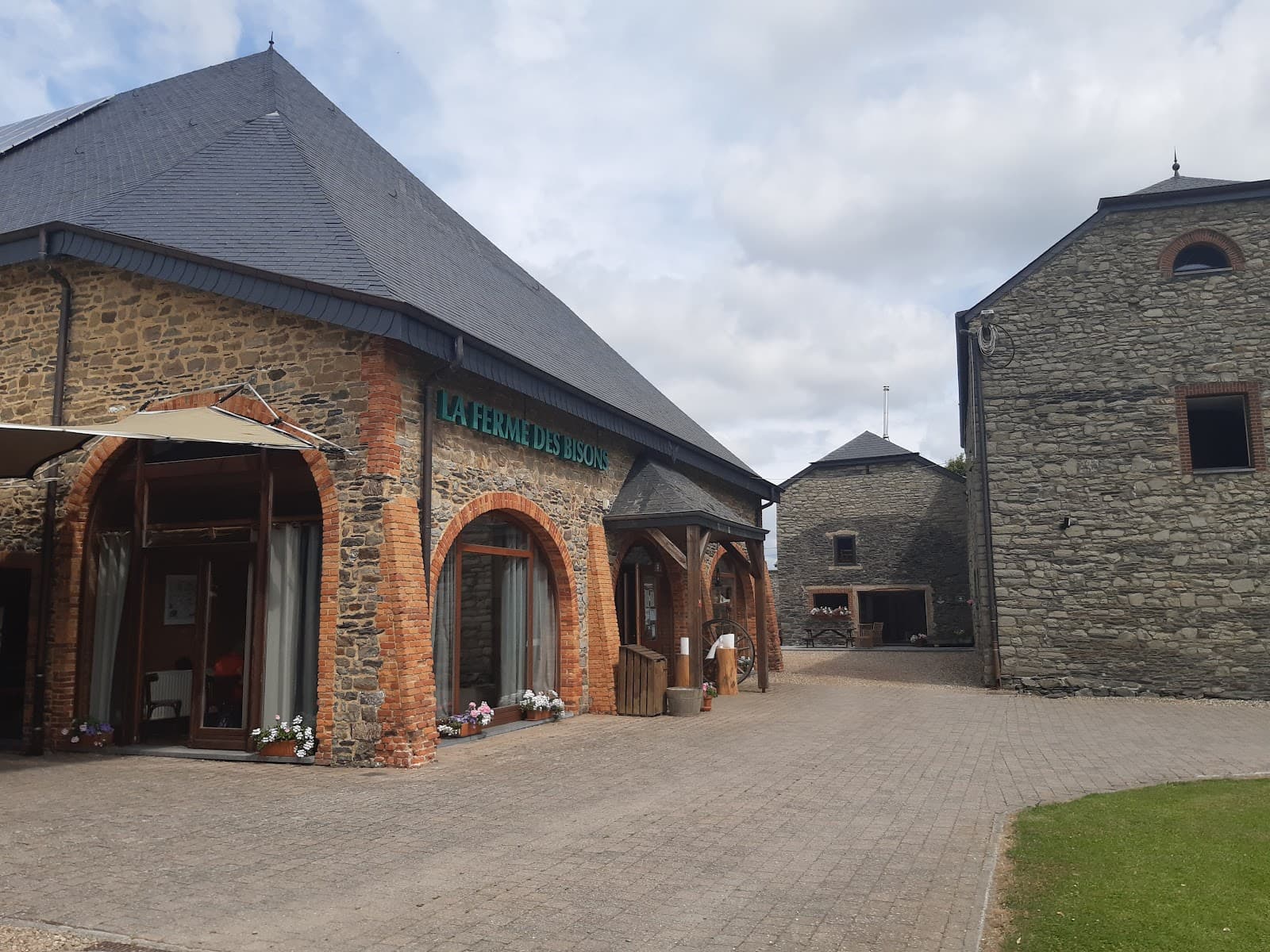 Bisons en vue - 9