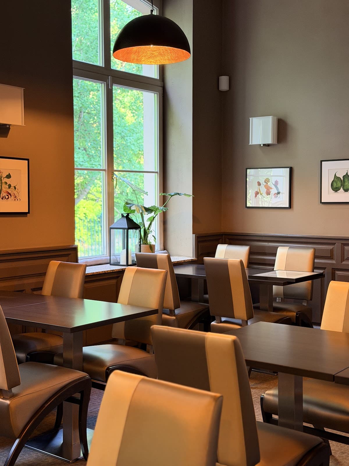 Radix: gourmet cuisine and terrace in the heart of nature - 9