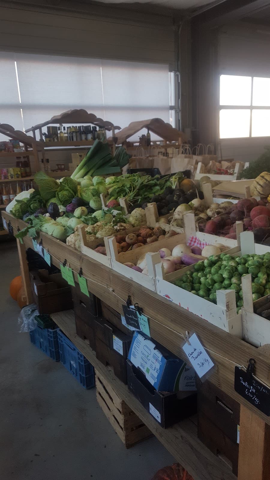 Silence it grows! Grocery store at BIO farm - 6