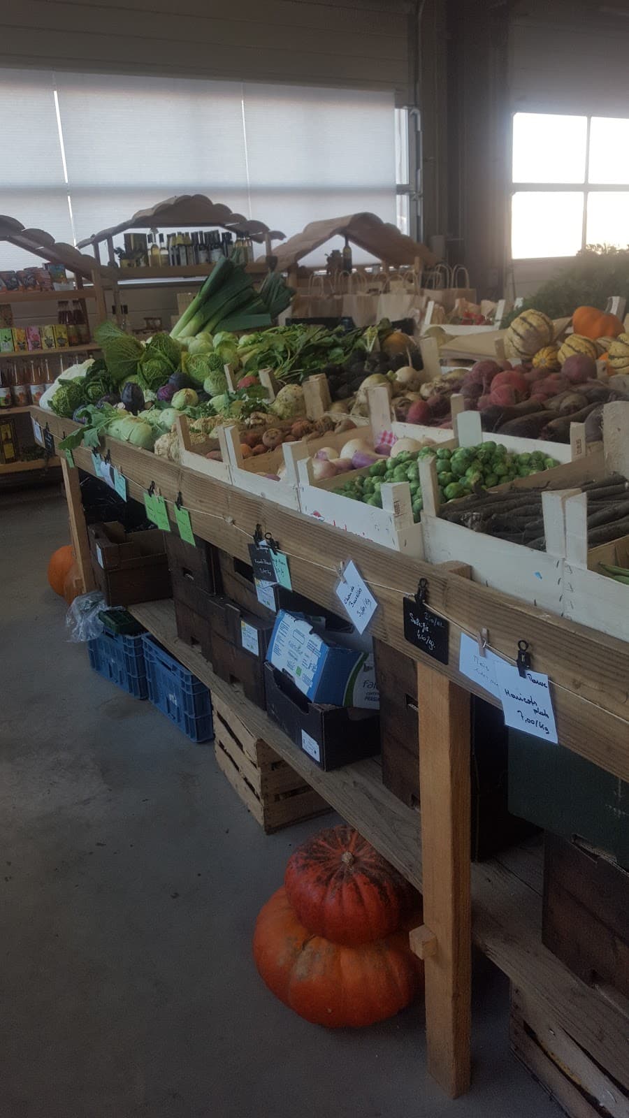 Silence it grows! Grocery store at BIO farm - 2