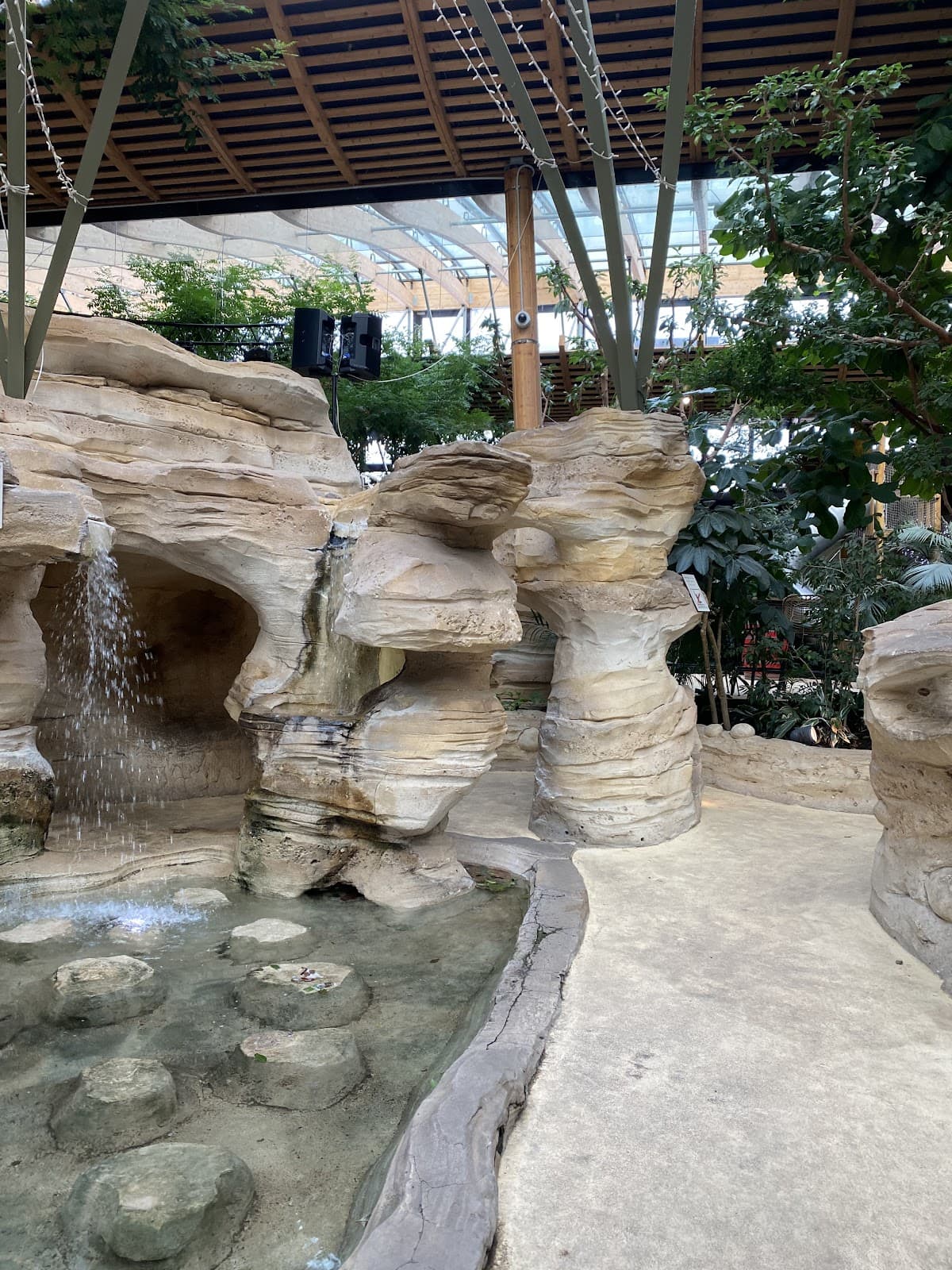 Reconnect with nature at Aqua Mundo Center Parcs - 9