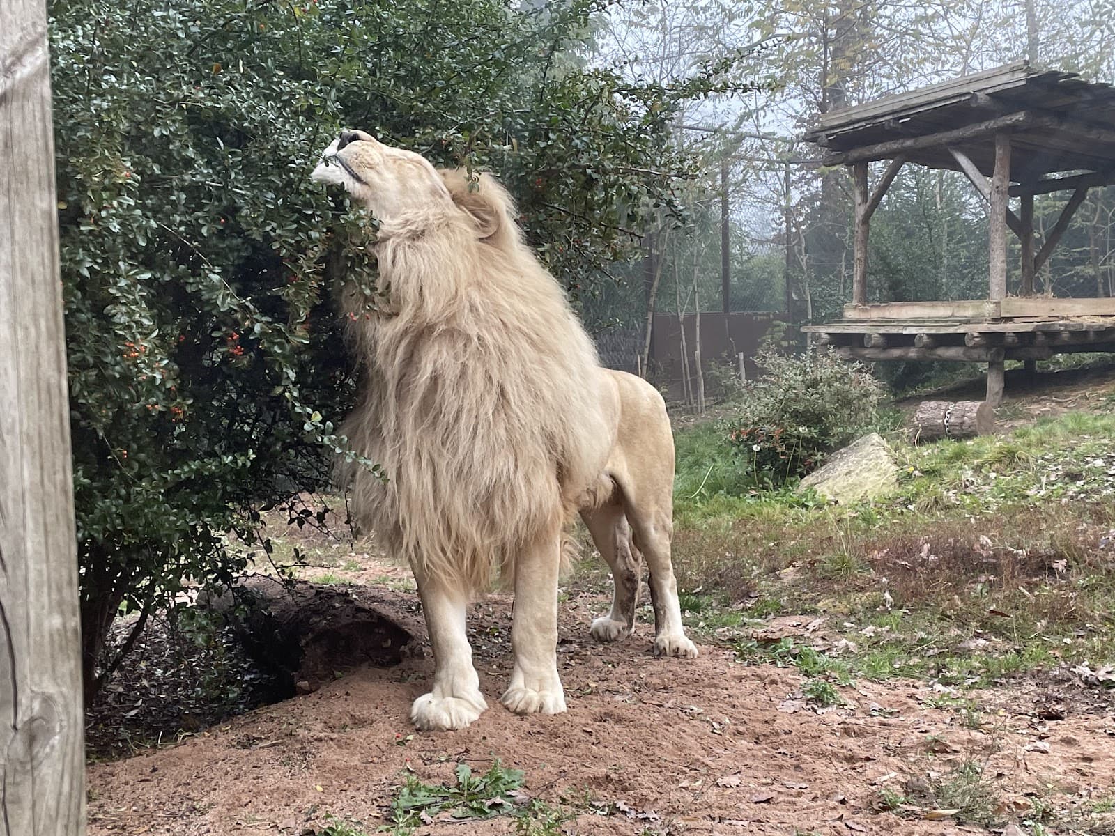 Amnéville Zoo: one of the most beautiful zoos in France - 9