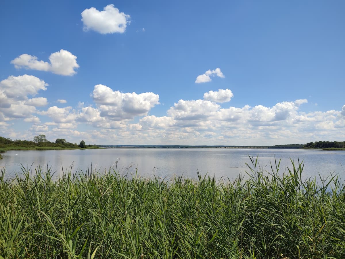 Swimming, fishing, paddle and cycling at Lake Madine - 8