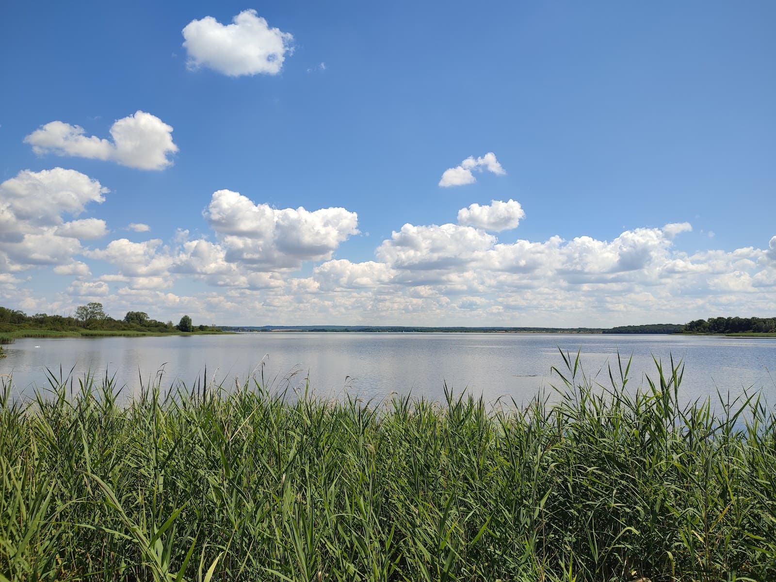 Swimming, fishing, paddle and cycling at Lake Madine - 8
