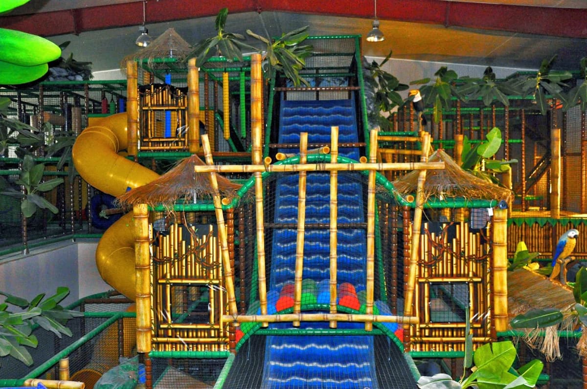 Venture into the jungle! - 2