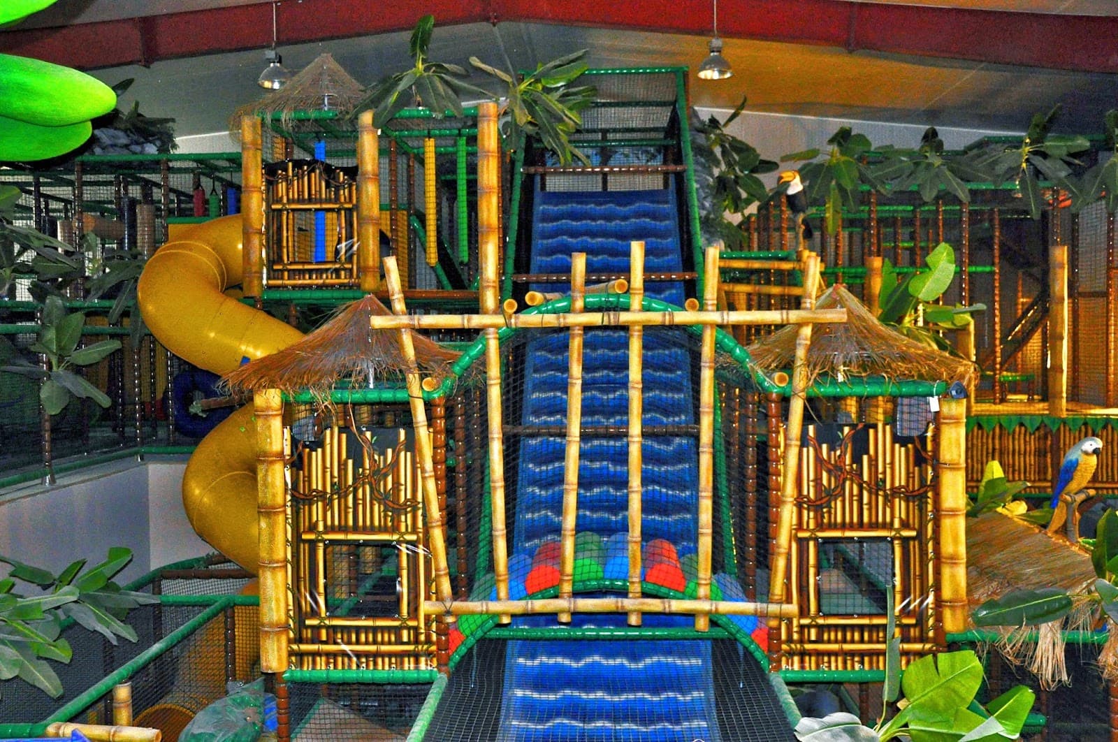 Venture into the jungle! - 2