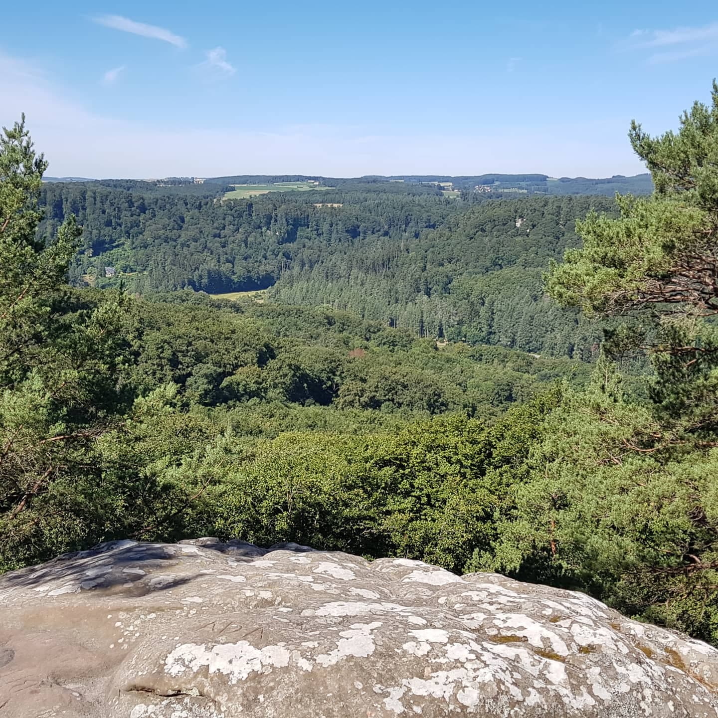 Medernach in Larochette: Between nature and castle - 11