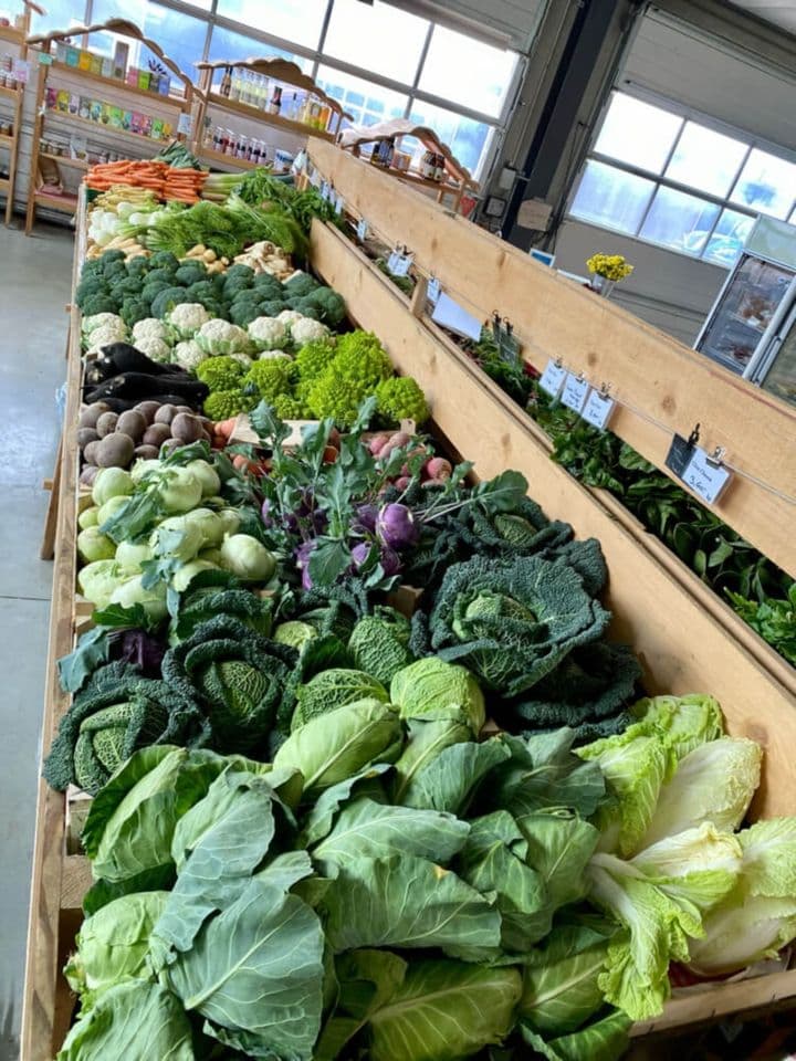 Silence it grows! Grocery store at BIO farm - 9
