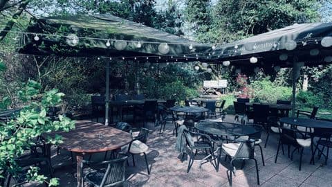 Jungle Cafe - 4