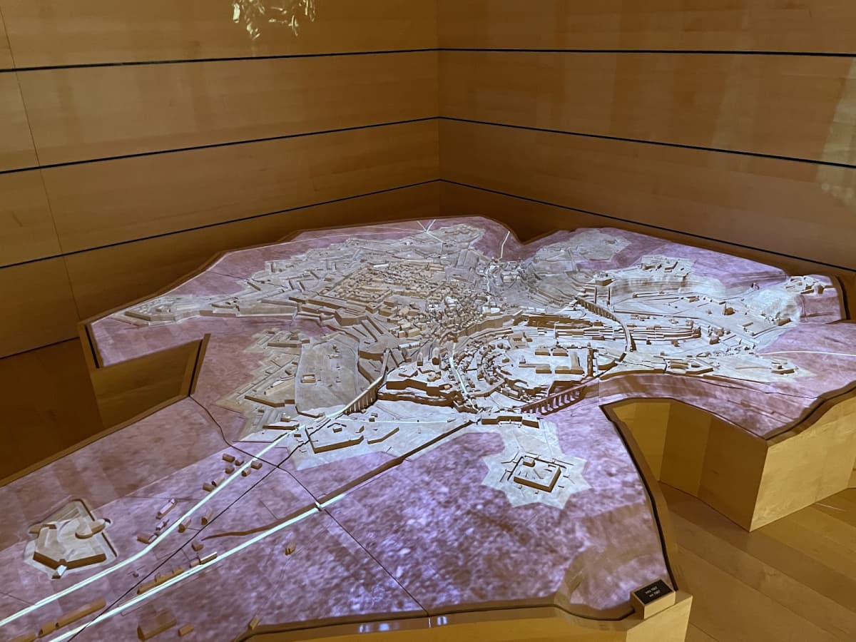 One museum, five areas, a thousand discoveries - 8
