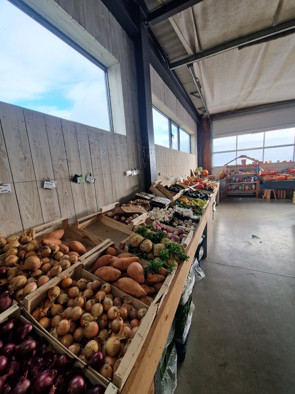 Silence it grows! Grocery store at BIO farm - 7