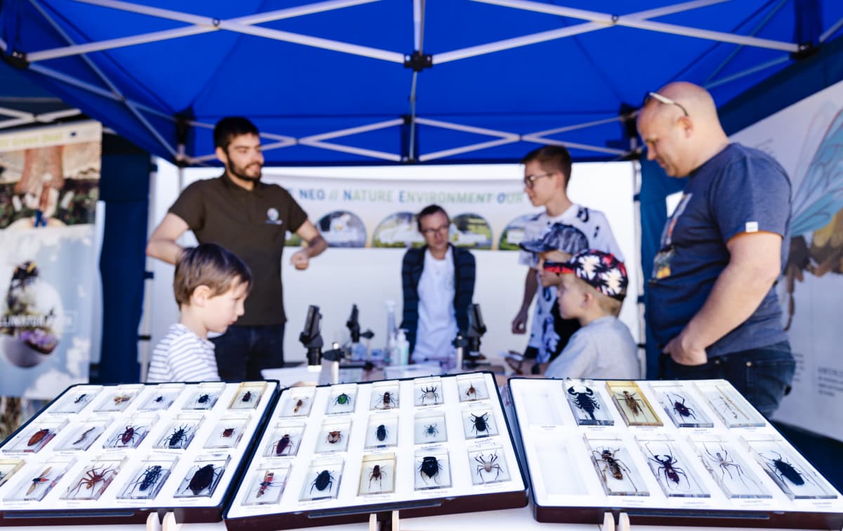 Become a nature explorer at the Naturparkfest! - 5